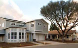 Ray Tech Professional Painting