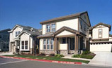 Ray Tech Professional Painting