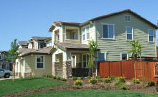 Ray Tech Professional Painting