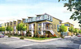 Ray Tech Professional Painting