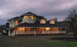 Ray Tech Professional Painting